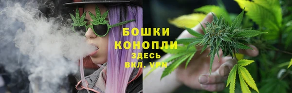 гидра Протвино