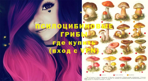 MESCALINE Баксан